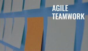 Agile Software Development Services from Offshore Teams