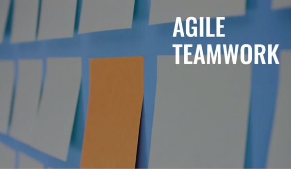 Agile Software Development Services from Offshore Teams